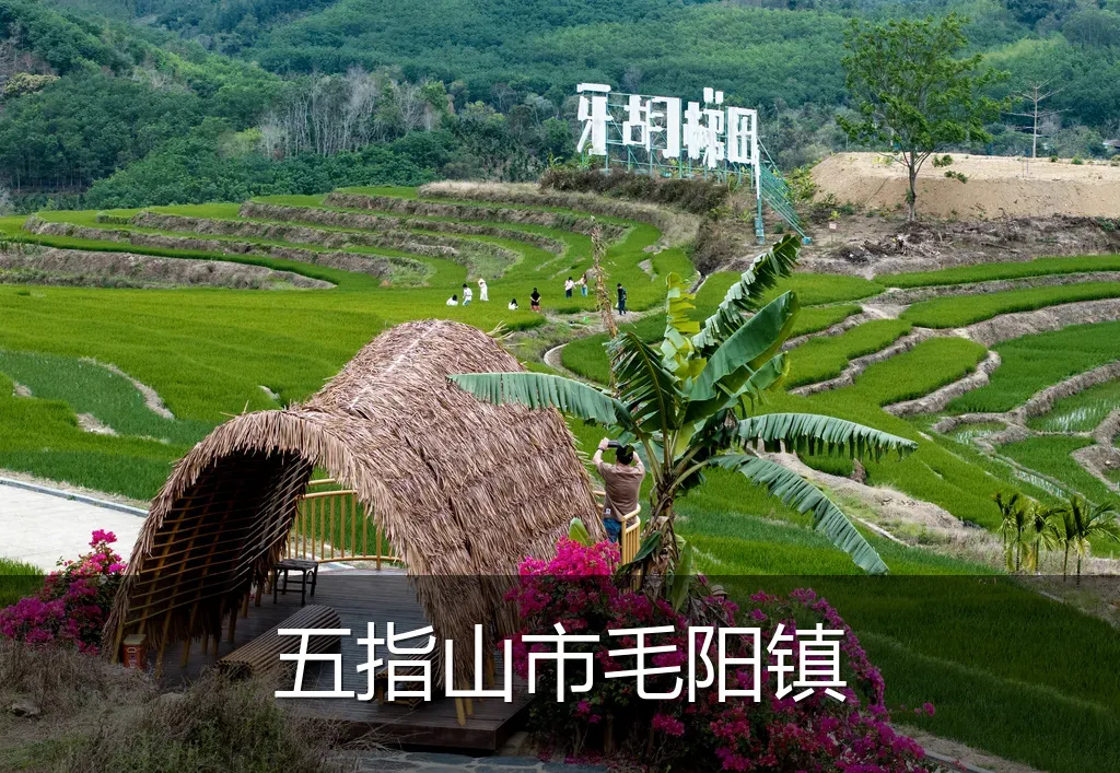 五指山市毛阳镇
